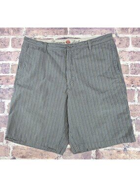 Tommy Bahama Mens Striped Cotton Shorts Size 35 Blue & Beige Casual Style